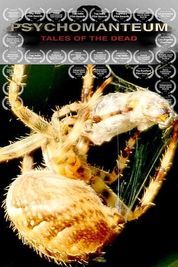 Психомантиум онлайн