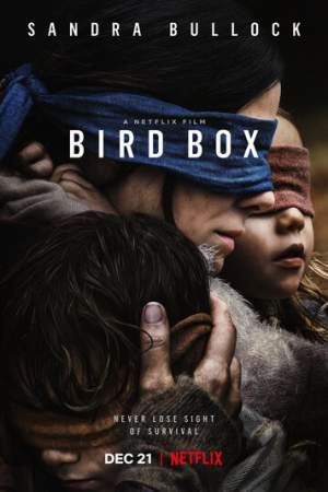 Птичий короб онлайн